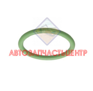 Уплотнительное кольцо ТНВД TCD 1173982